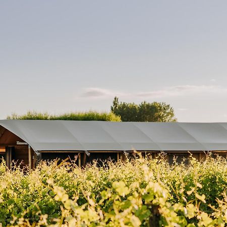 Villas & Vines Glamping Hastings Exterior foto